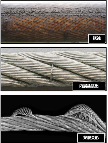 蜜桃成人网站APP
