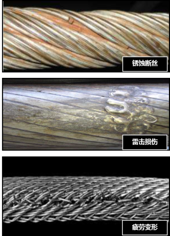 蜜桃成人网站APP